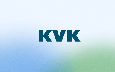 Synthetic data for the The Netherlands Chamber of Commerce (KVK)