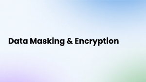 Data Masking vs Data Encryption - Syntho