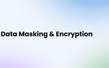 Data Masking vs Encryption: Choosing the Right Approach to Protect Sensitive Data