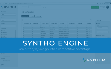 Syntho Engine Demo