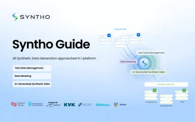 Syntho Guide